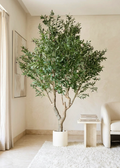 Artificial Olive Tree in White Planter