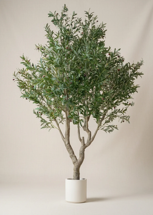Artificial Olive Tree in White Planter