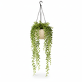 Medium artificial string of pearls in warm-white hanging pot on white background