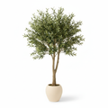 Medium artificial olive tree in warm-white planter on white background