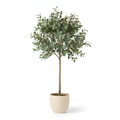 Medium artificial eucalyptus tree in warm-white planter on white background