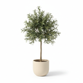 Medium artificial olive shrub in warm-white planter on white background
