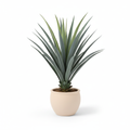 Medium artificial potted agave in warm-white planter on white background
